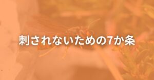 蜂に刺されないために