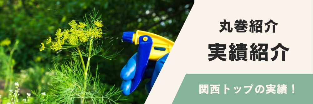 実績紹介